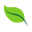 Bralette.com.ua logo